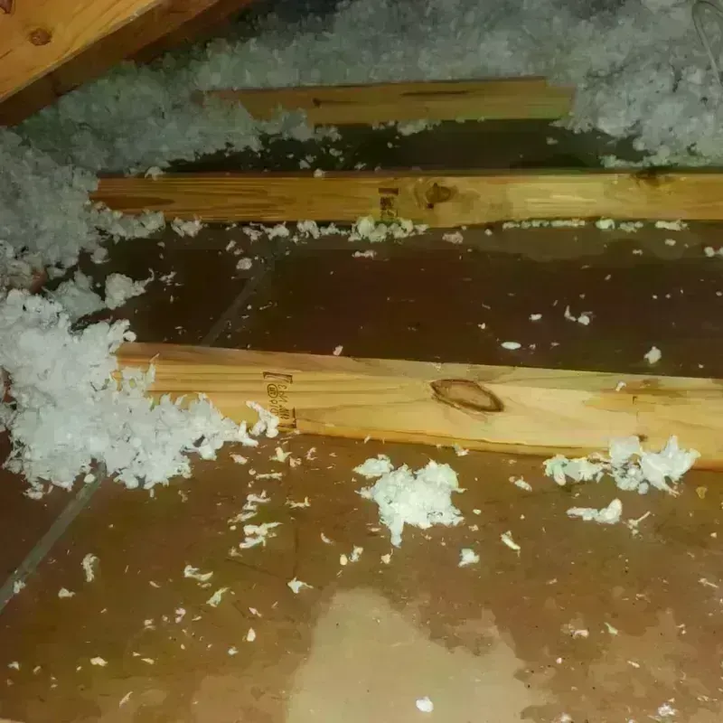 Attic Water Damage in Indianola, IA